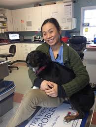 Dr. Anna Lee